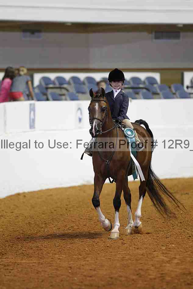 Proof 12r9_3296