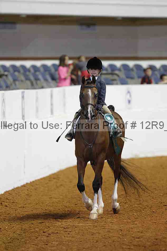 Proof 12r9_3298