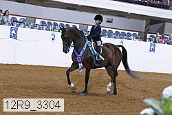 12r9_3304 proof