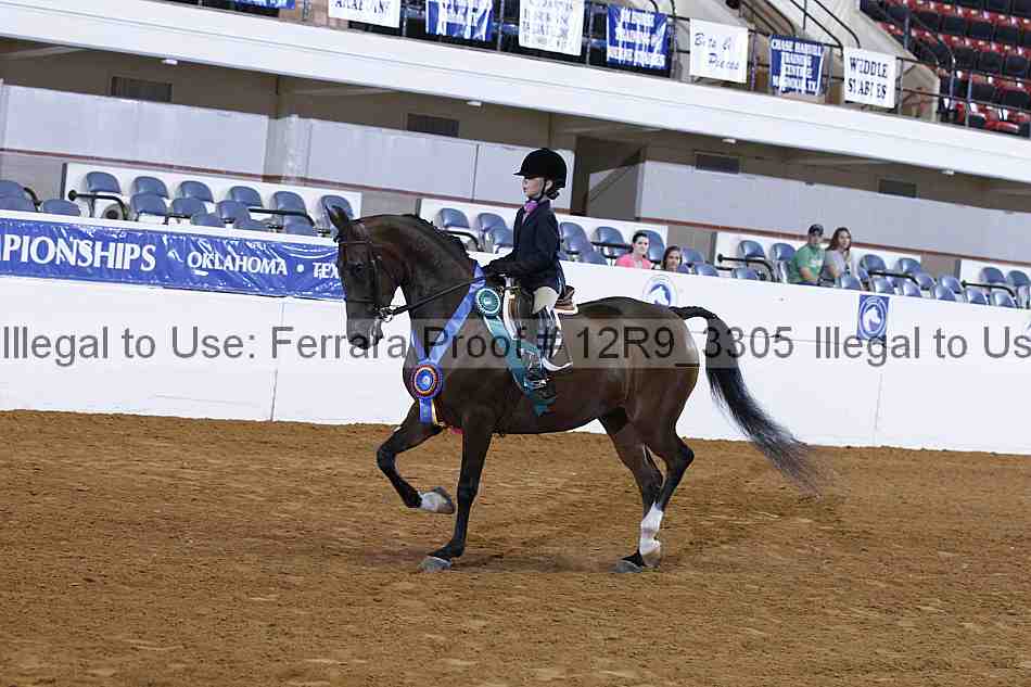 Proof 12r9_3305