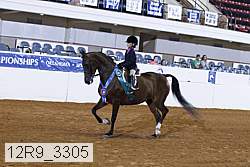 12r9_3305 proof