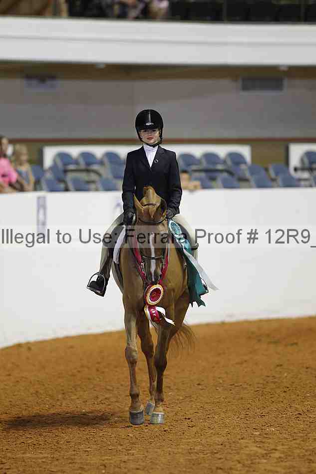 Proof 12r9_3306