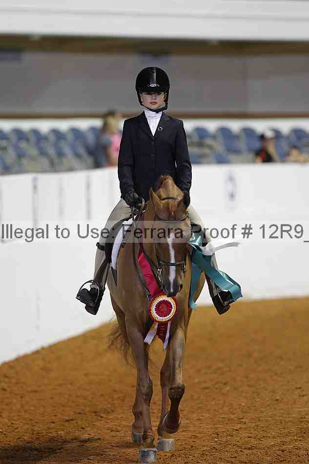 Proof 12r9_3307
