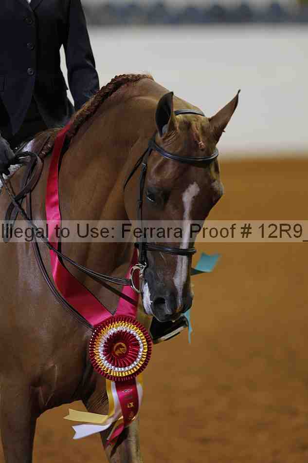 Proof 12r9_3308