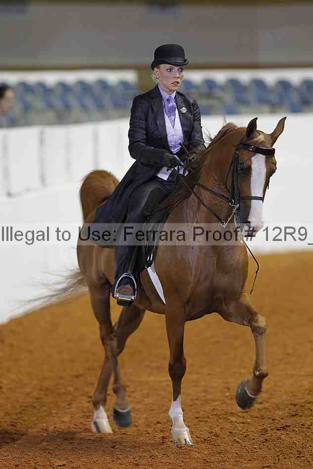 Proof 12r9_3326