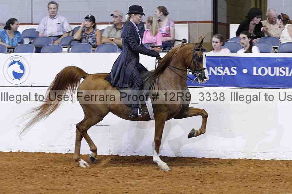 Proof 12r9_3338