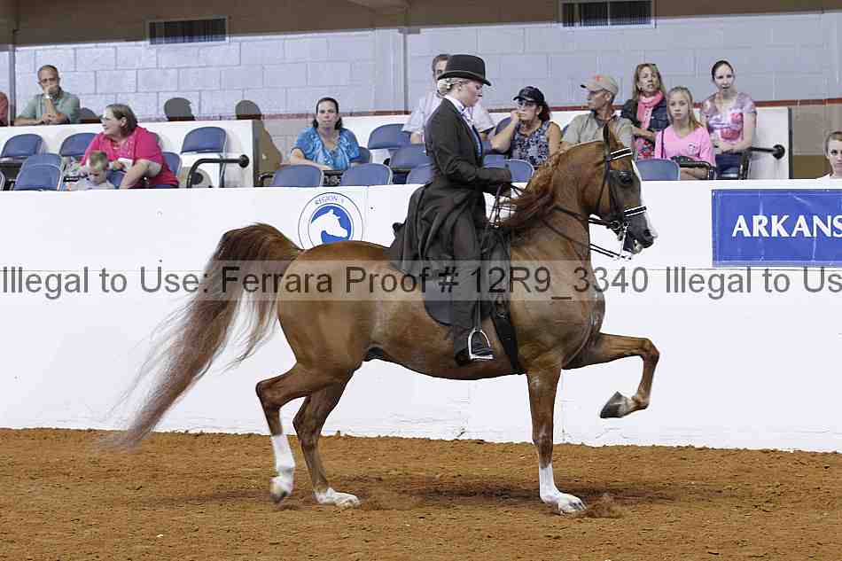 Proof 12r9_3340