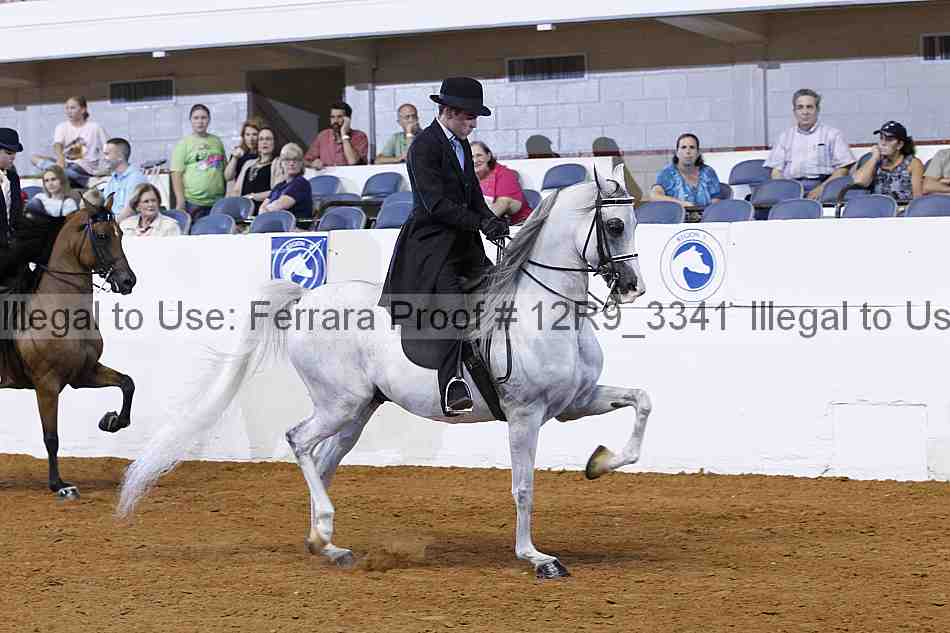 Proof 12r9_3341