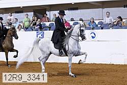 12r9_3341 proof