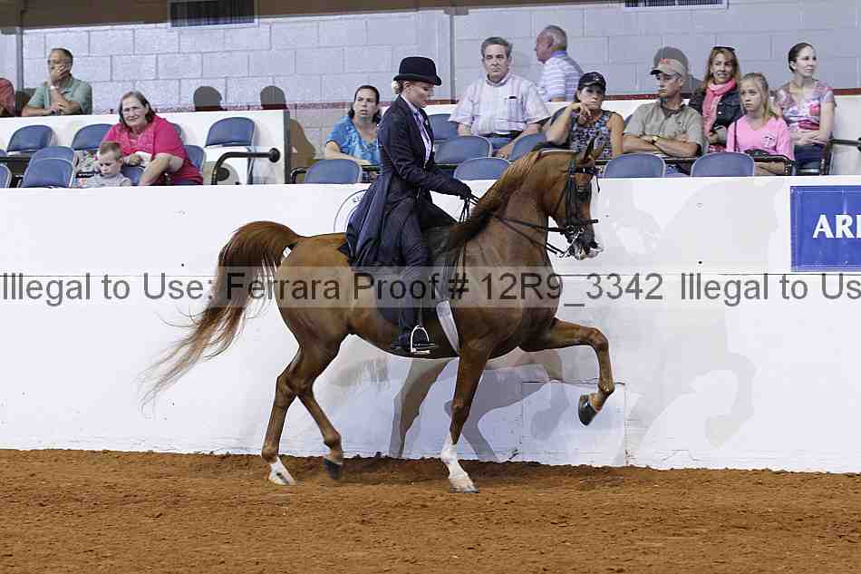 Proof 12r9_3342