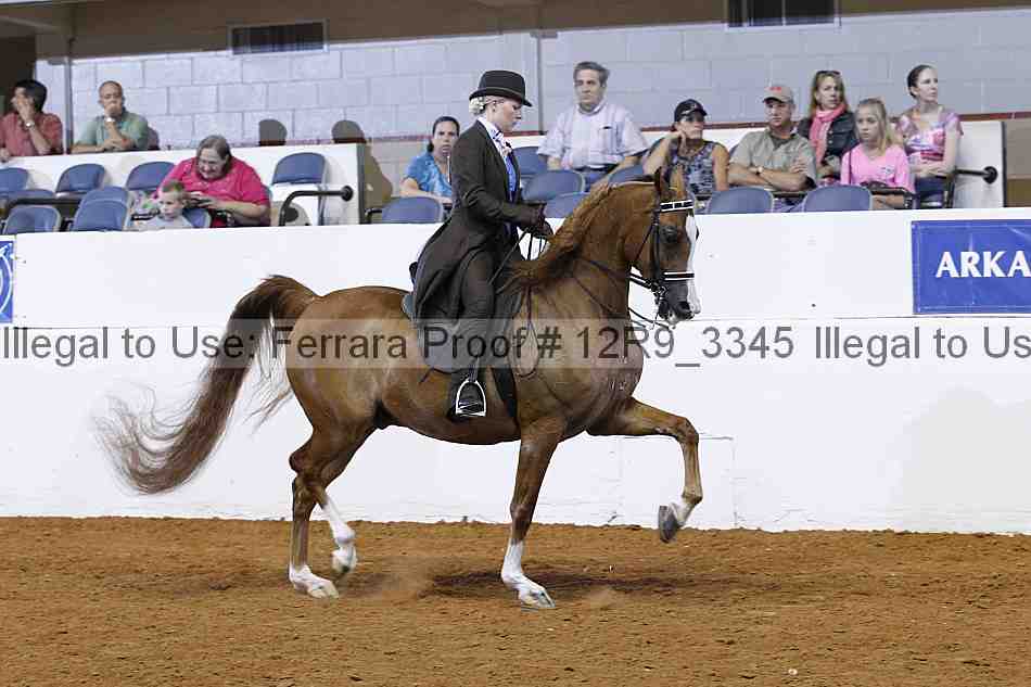 Proof 12r9_3345