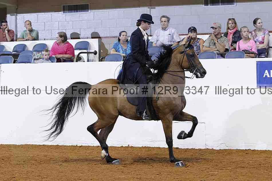 Proof 12r9_3347