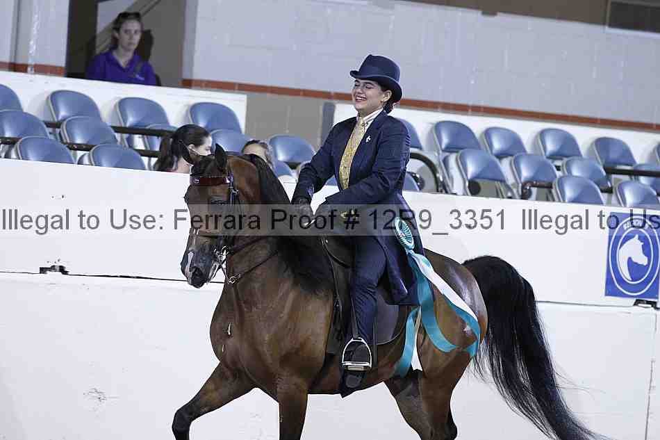 Proof 12r9_3351