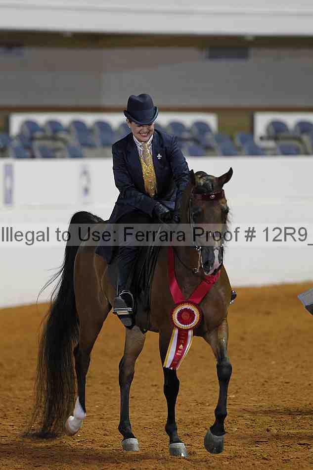 Proof 12r9_3361