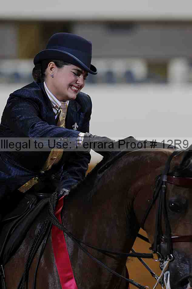Proof 12r9_3368