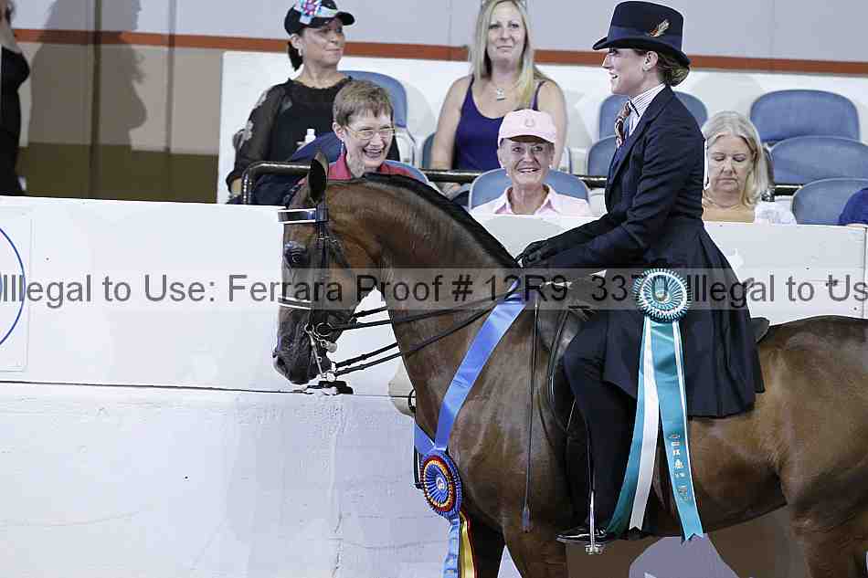 Proof 12r9_3370