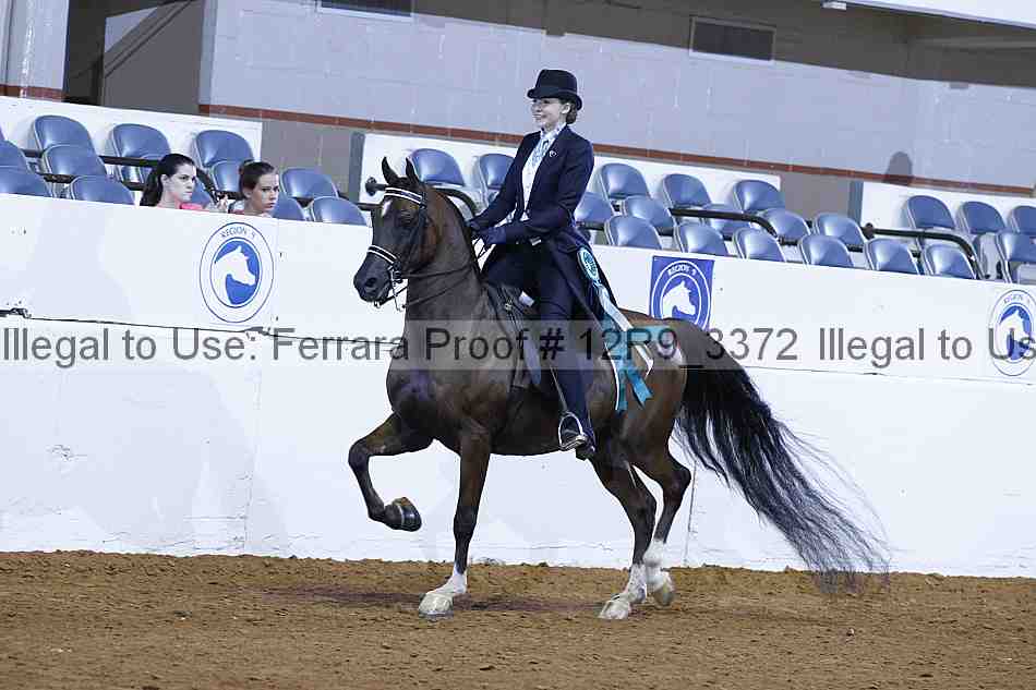 Proof 12r9_3372