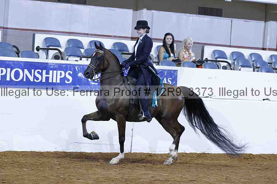 Proof 12r9_3373