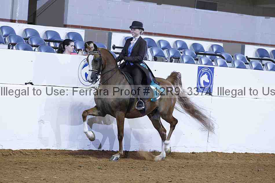 Proof 12r9_3374