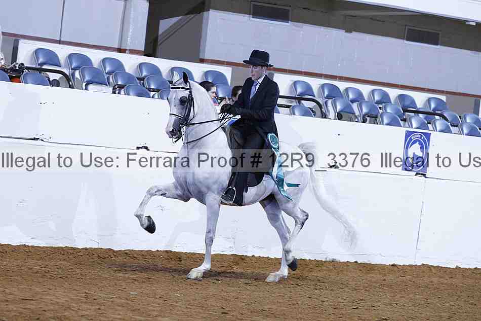 Proof 12r9_3376