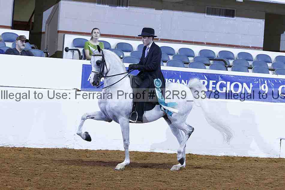 Proof 12r9_3378