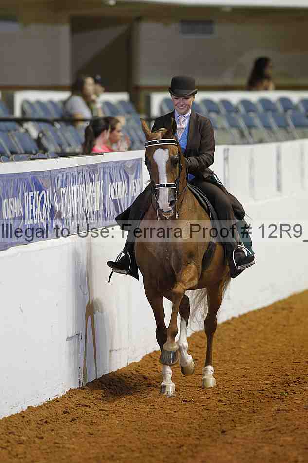 Proof 12r9_3382