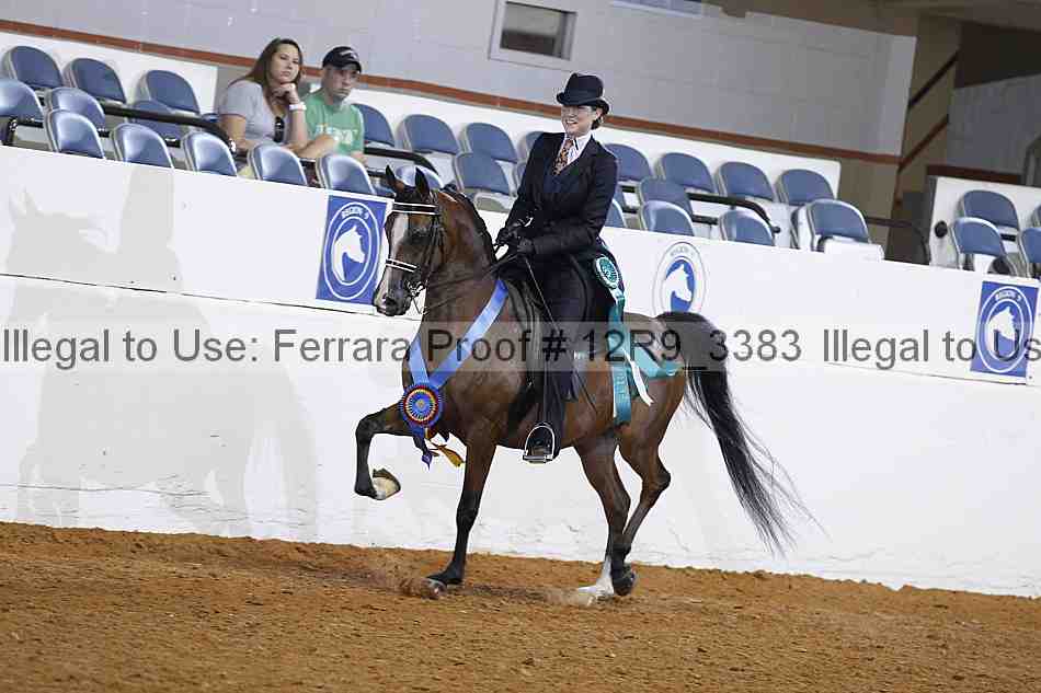 Proof 12r9_3383
