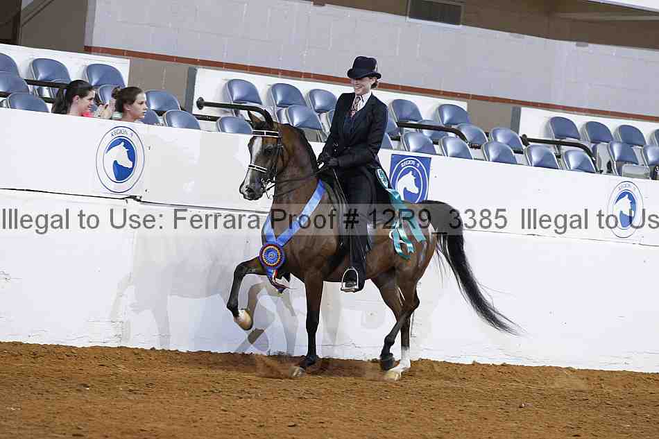 Proof 12r9_3385
