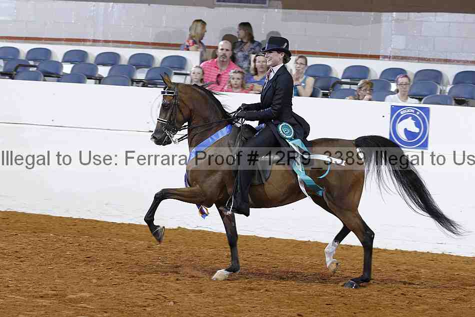 Proof 12r9_3389