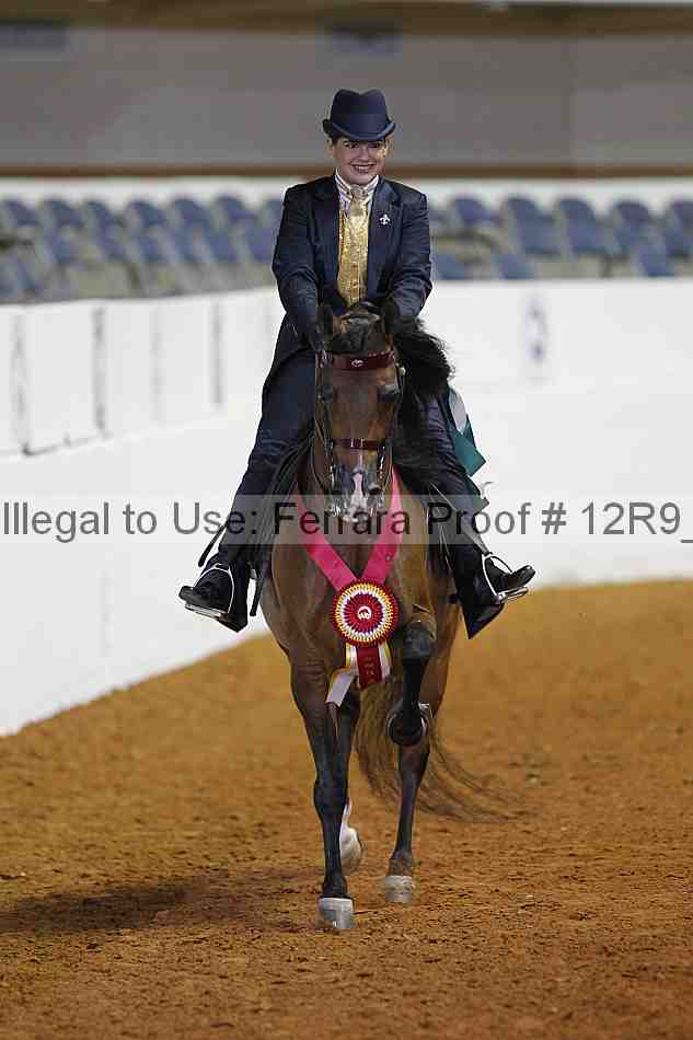 Proof 12r9_3390