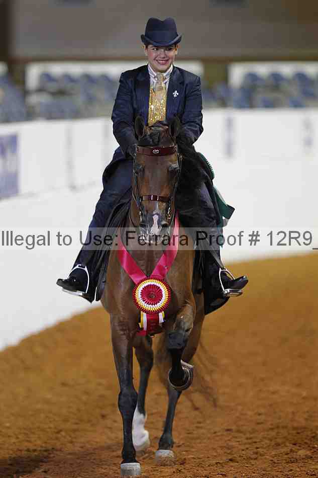 Proof 12r9_3391