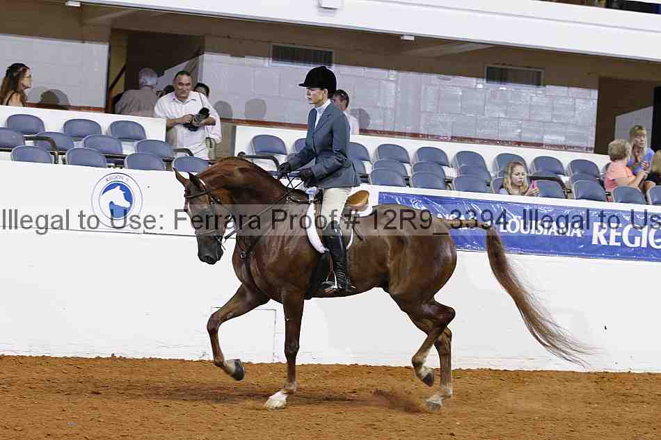 Proof 12r9_3394