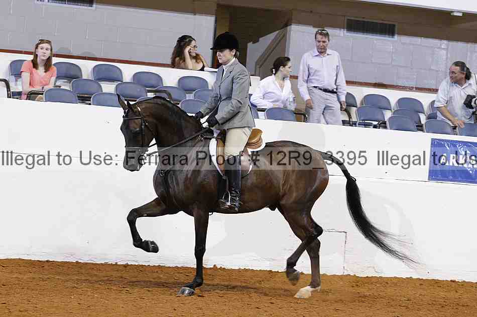 Proof 12r9_3395