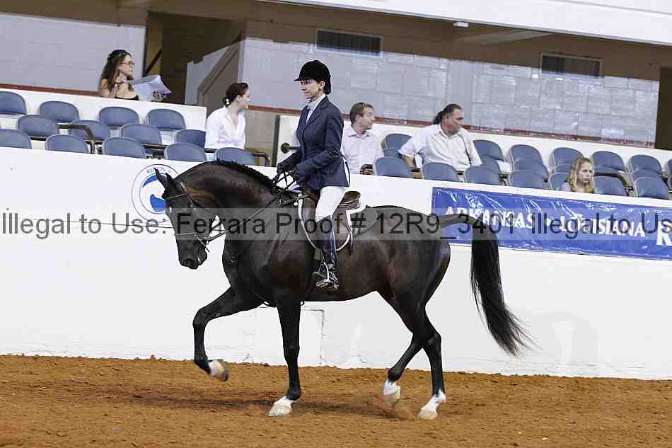 Proof 12r9_3401