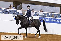 12r9_3401 proof