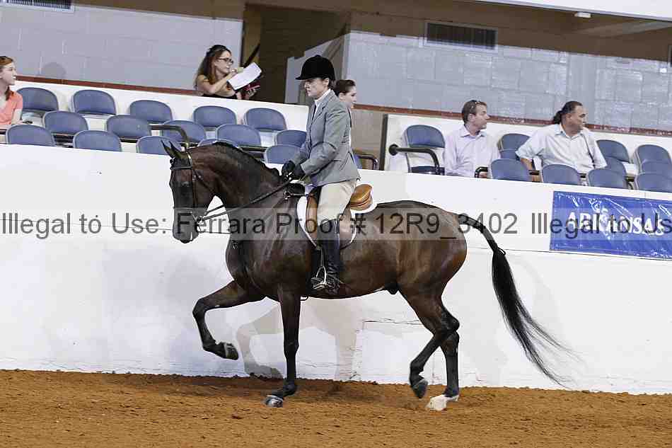 Proof 12r9_3402