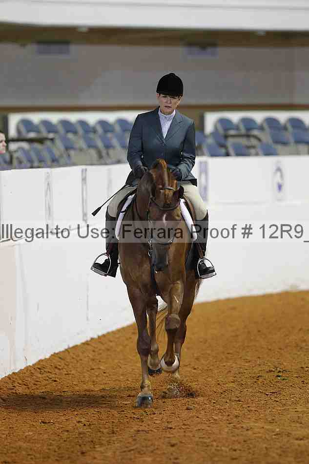 Proof 12r9_3404