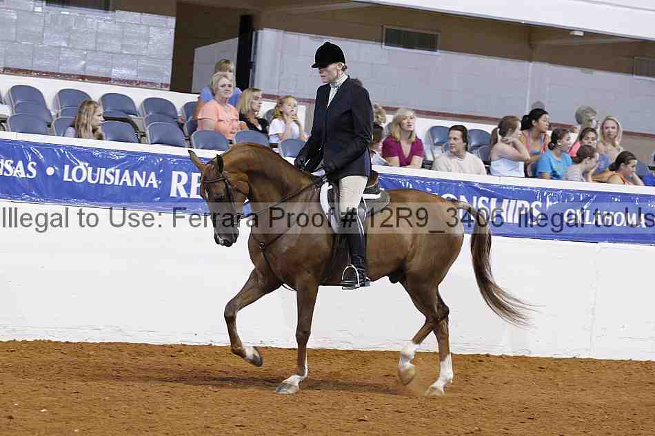 Proof 12r9_3406