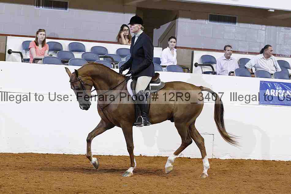 Proof 12r9_3407