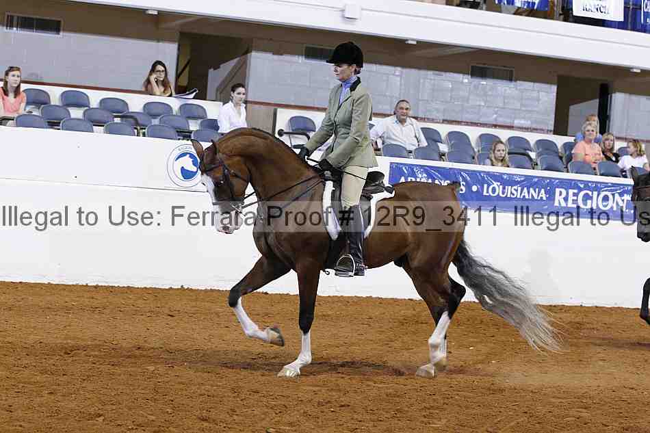 Proof 12r9_3411