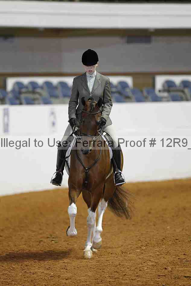 Proof 12r9_3413