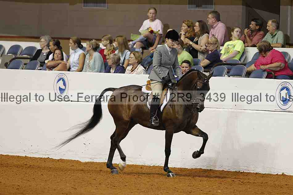 Proof 12r9_3439