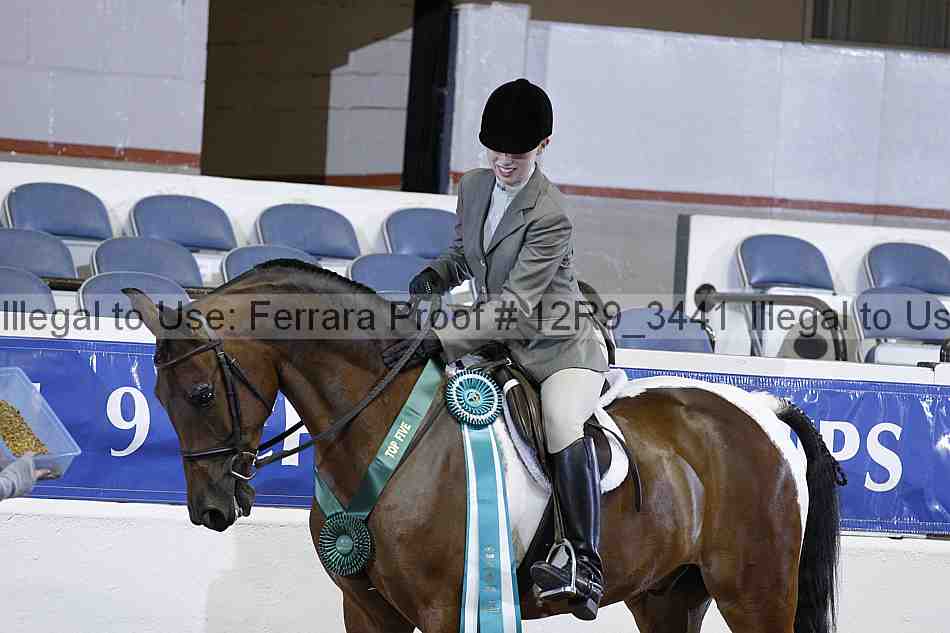 Proof 12r9_3441