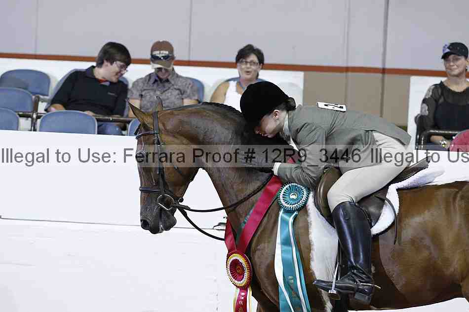 Proof 12r9_3446