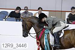 12r9_3446 proof