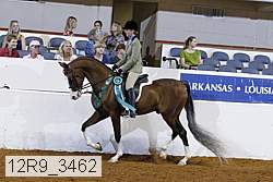 12r9_3462 proof