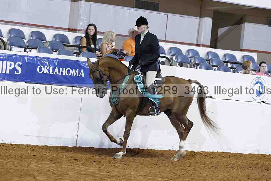 Proof 12r9_3463