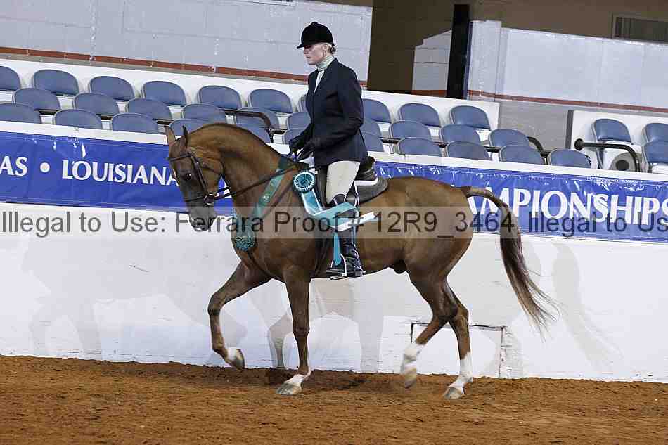 Proof 12r9_3464