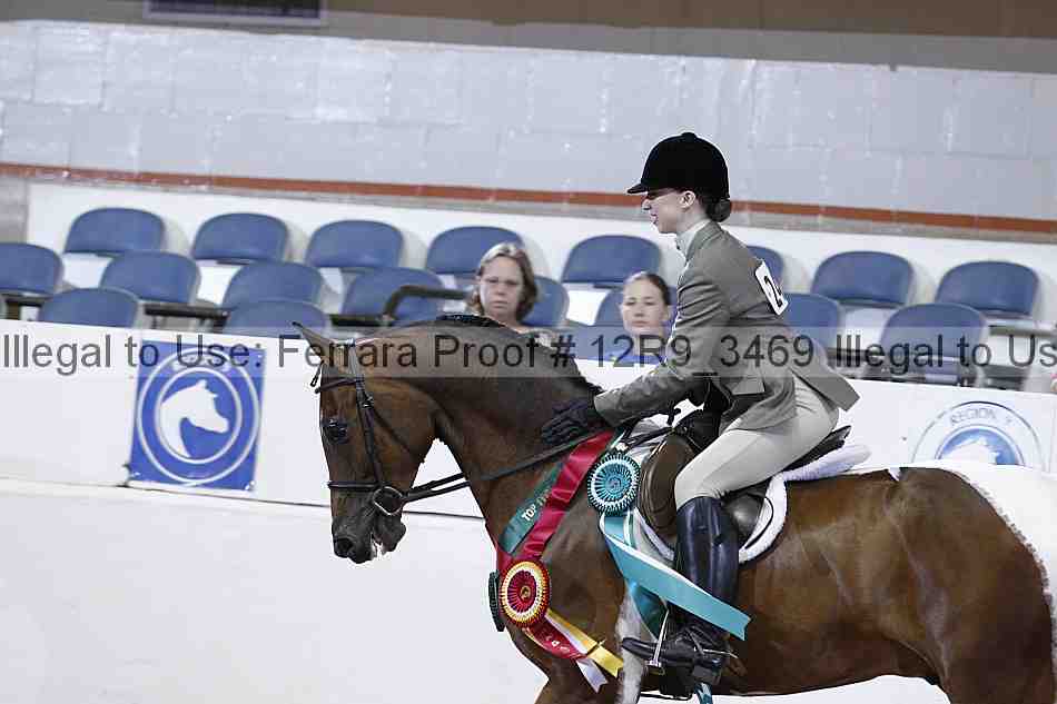 Proof 12r9_3469
