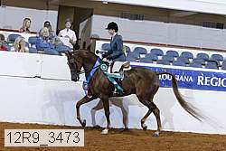 12r9_3473 proof